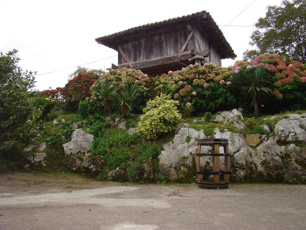 Pension Mariaje 塞洛里奥 外观 照片